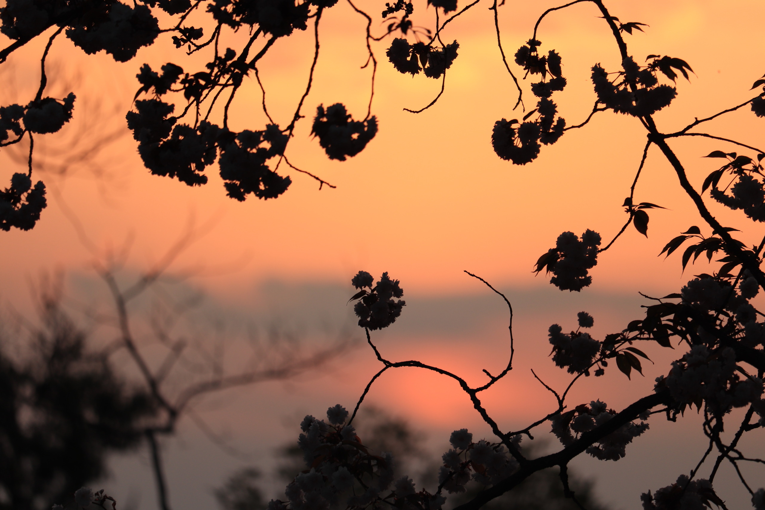 それぞれの夕暮れ